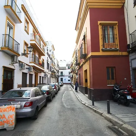 Pureza Dream Siviglia